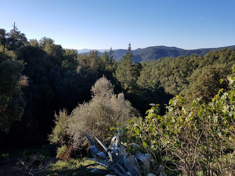 سانتا كولوما دي فارنرس Can Canaleta Hotel Rural المظهر الخارجي الصورة